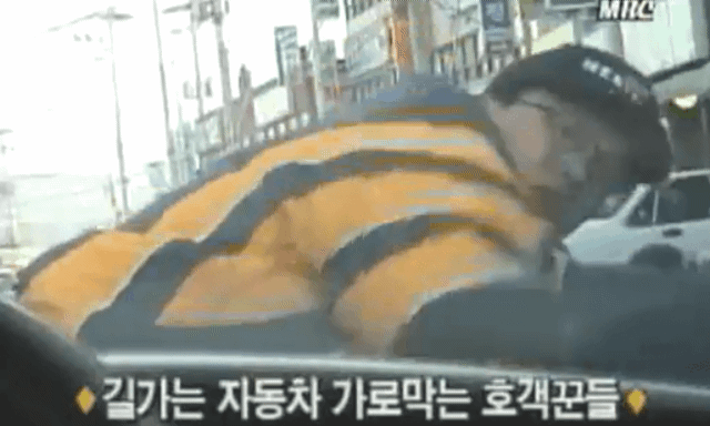 GAoK1693460308_328383778.gif