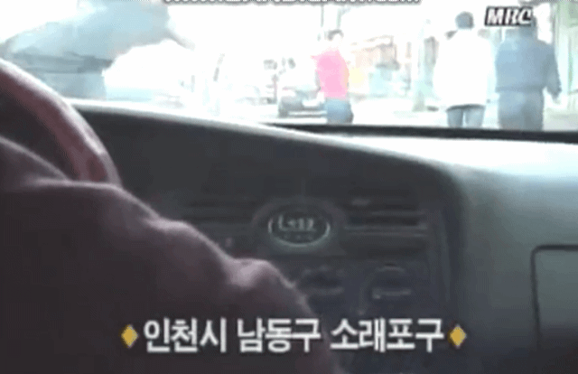 GAoK1693460308_840792536.gif