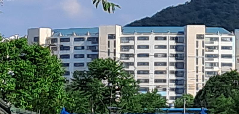 chonchowon (33).jpg