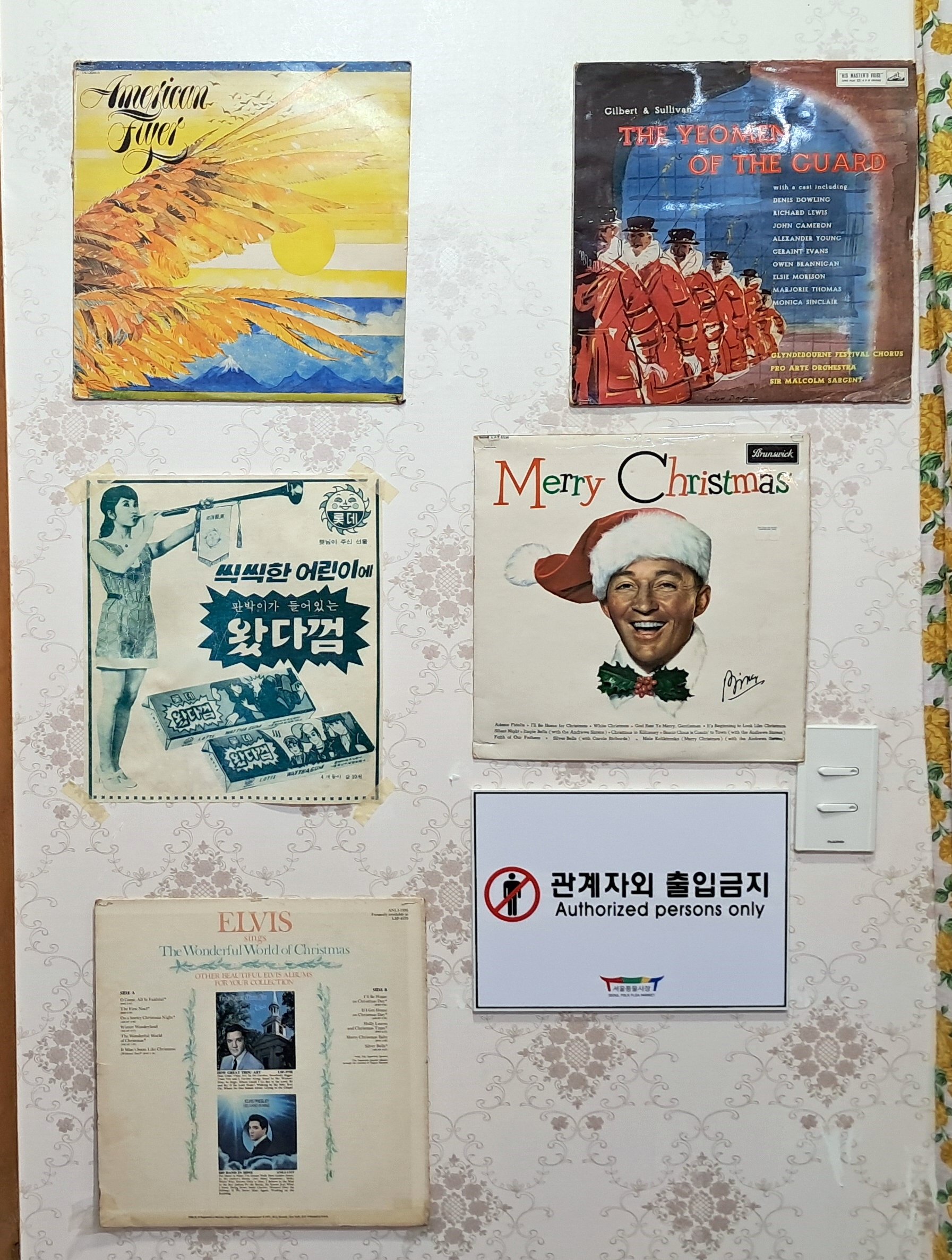 hongde (72).jpg